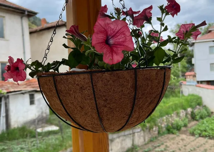 горски рай * Smilyan (Smolyan)